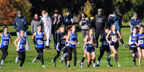Cross Country Finishes Strong at Sectionals