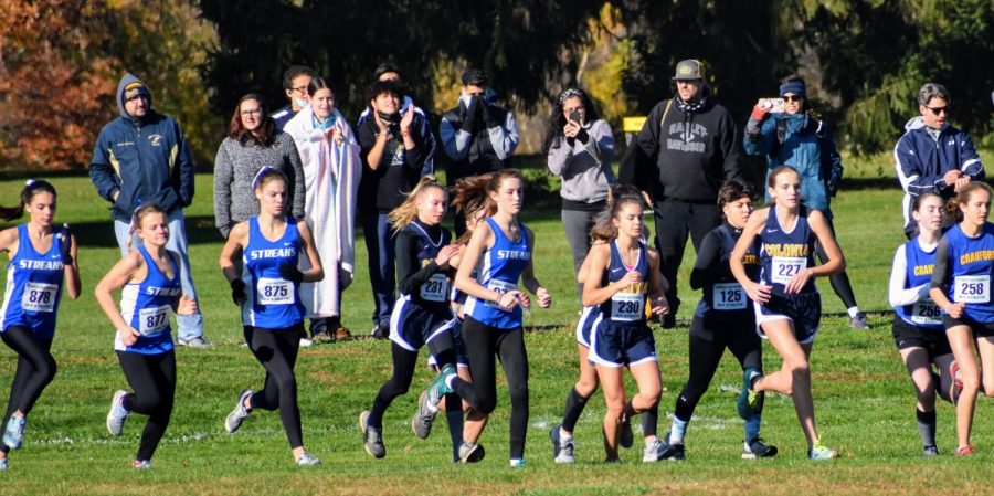 Cross+Country+Finishes+Strong+at+Sectionals